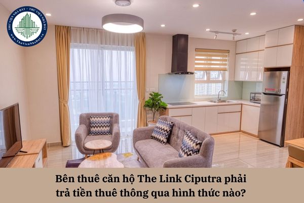 okevipp.com