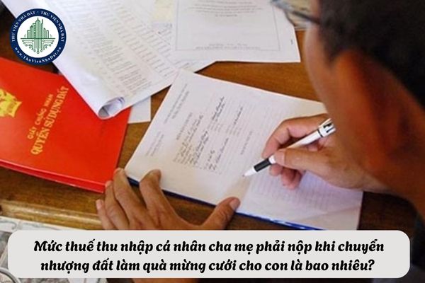 okevipp.com