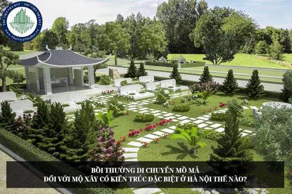 okevipp.com