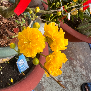 Nhà Đất Đức Hoà