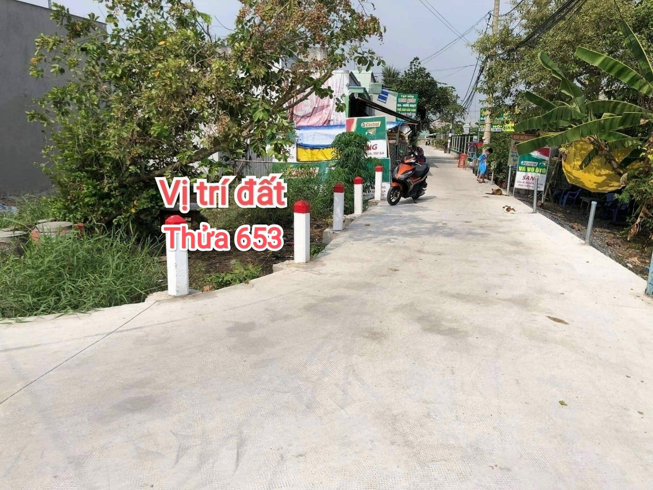okevipp.com