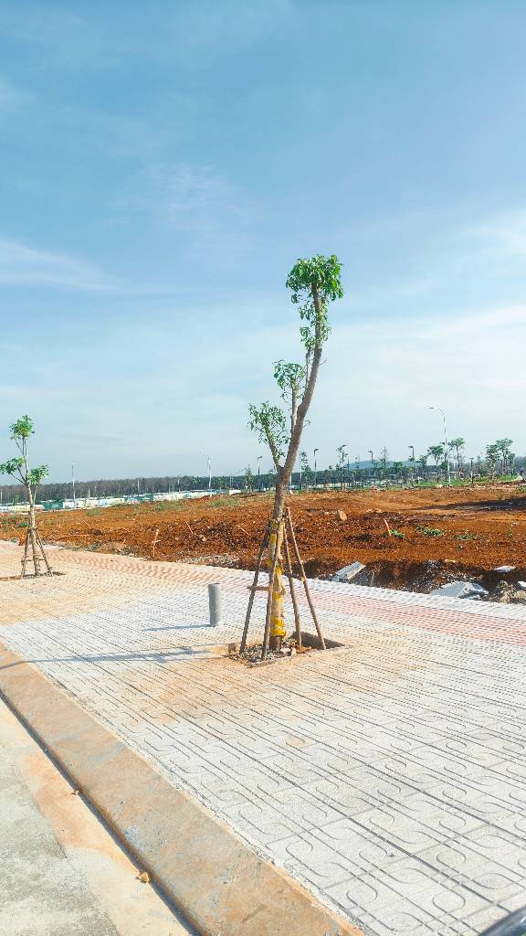 okevipp.com