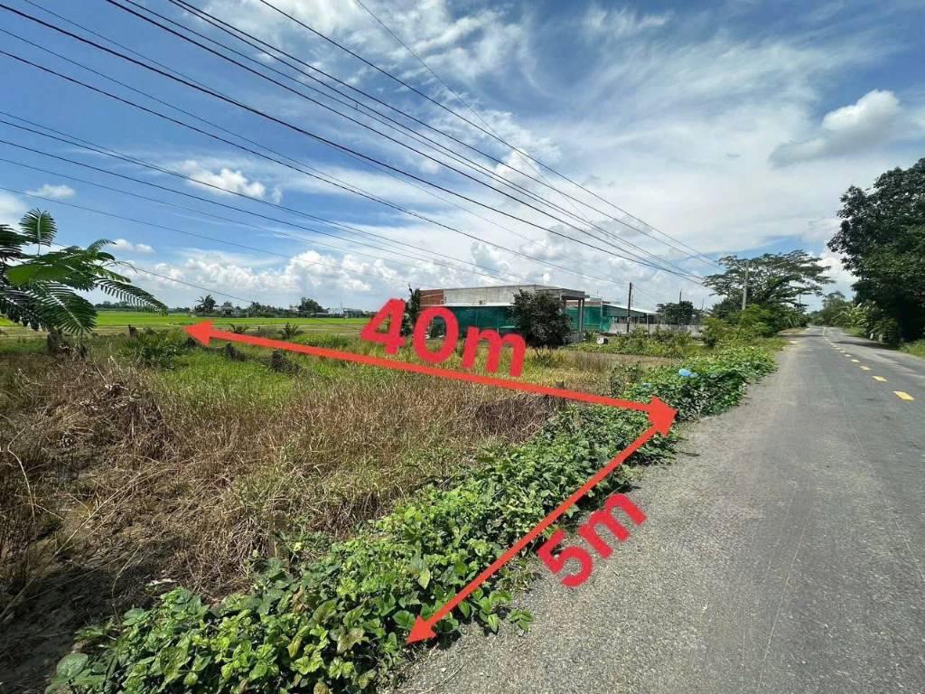 okevipp.com