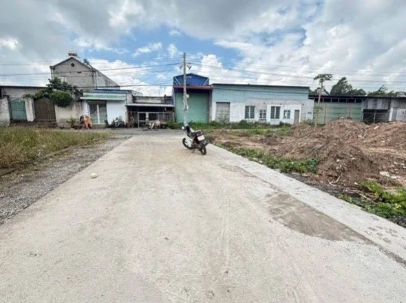 okevipp.com