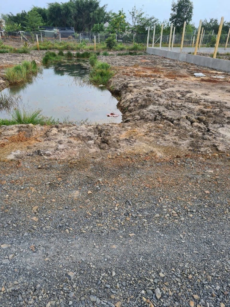 Bán đất Nguyễn Thị Lắng, Củ Chi, 572m2 giá 350 triệu, công chứng sang tên, cần bán nhanh