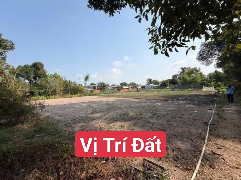 okevipp.com