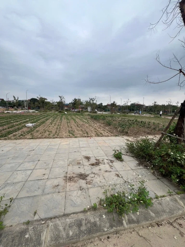 Bán đất tái định cư Hà Khê, Vân Hà, Đông Anh Hà nội, diện tích 80m2 giá chỉ 6,6 tỷ