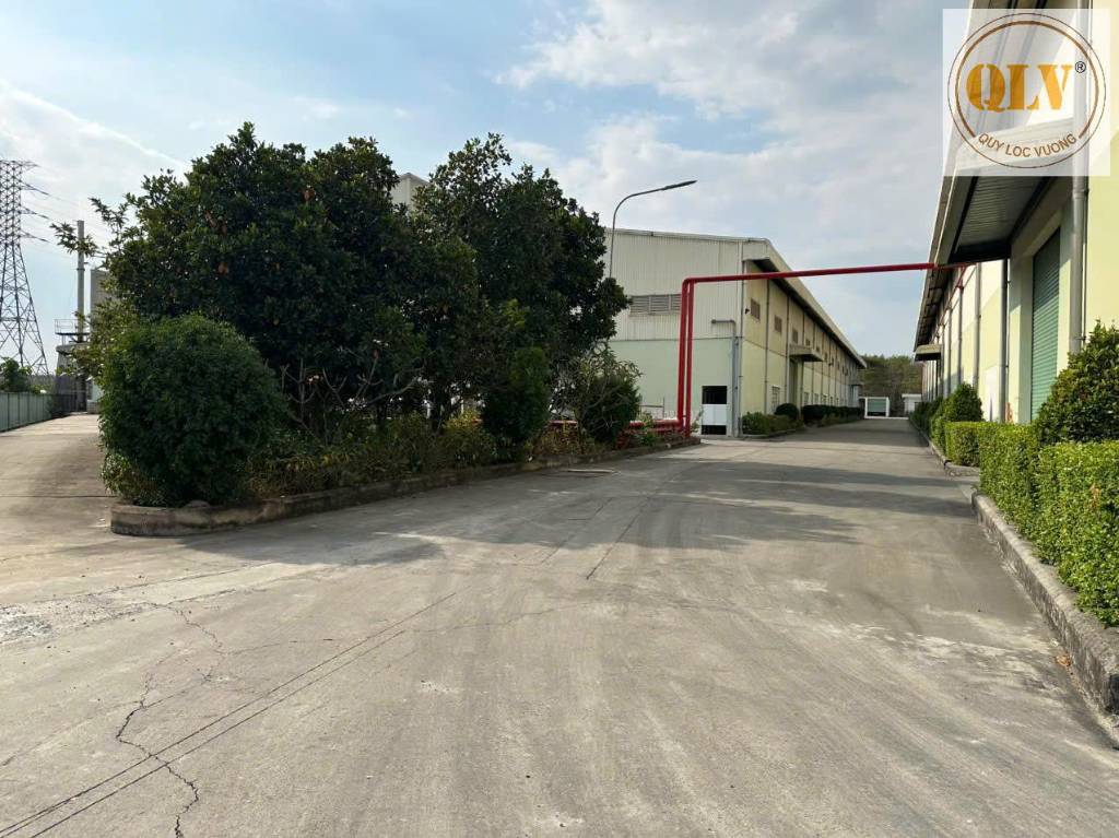 Tối thời điểm hiện tại trang chủ okvip có bao nhiều trang thành viên được hiện thị trên trang chủ nhà xưởng Hội Nghĩa, Tân Uyên, 17301m² PCCC đầy đủ, nhiều mô hình sản xuất