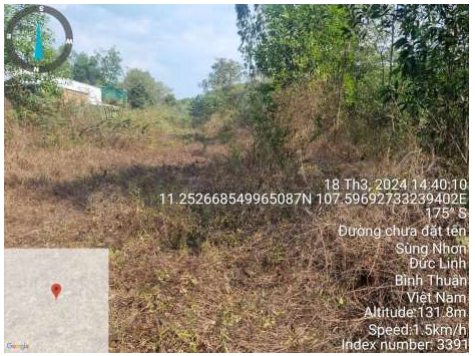 okevipp.com