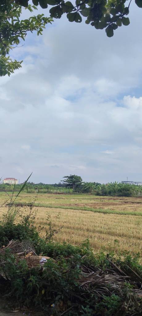 CHÀO BÁN LÔ ĐẤT MẶT TIỀN TRẦN NHÂN TÔNG, HỘI AN, VỊ TRÍ CỰC ĐẸP, ĐẦU TƯ KINH DOANH