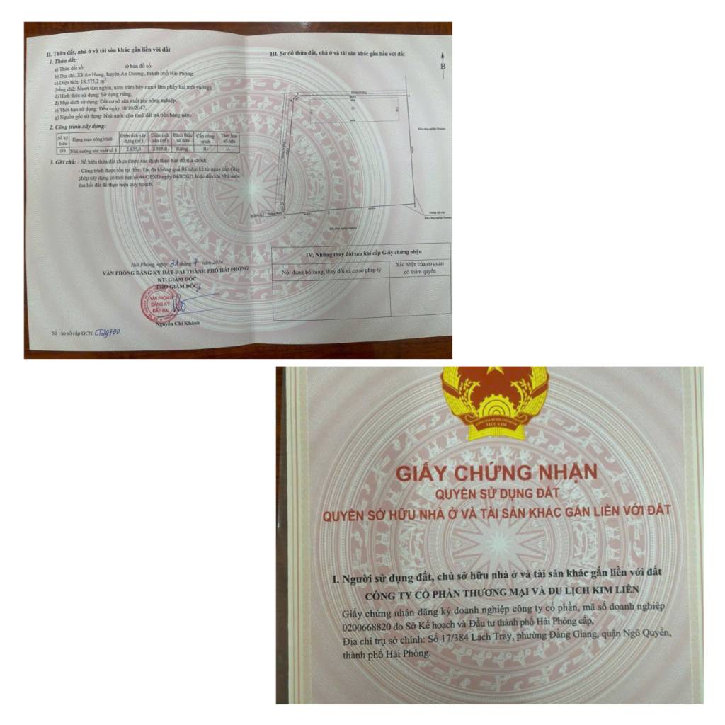 okevipp.com