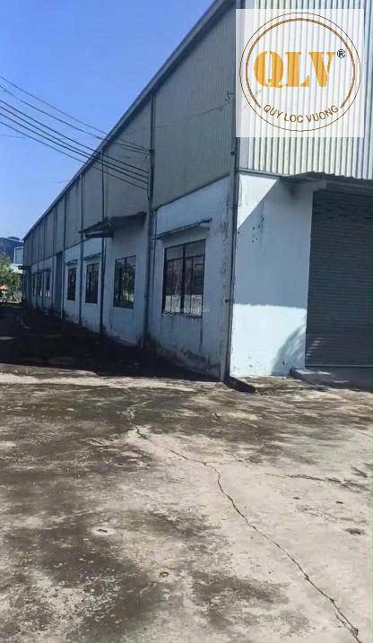 okevipp.com