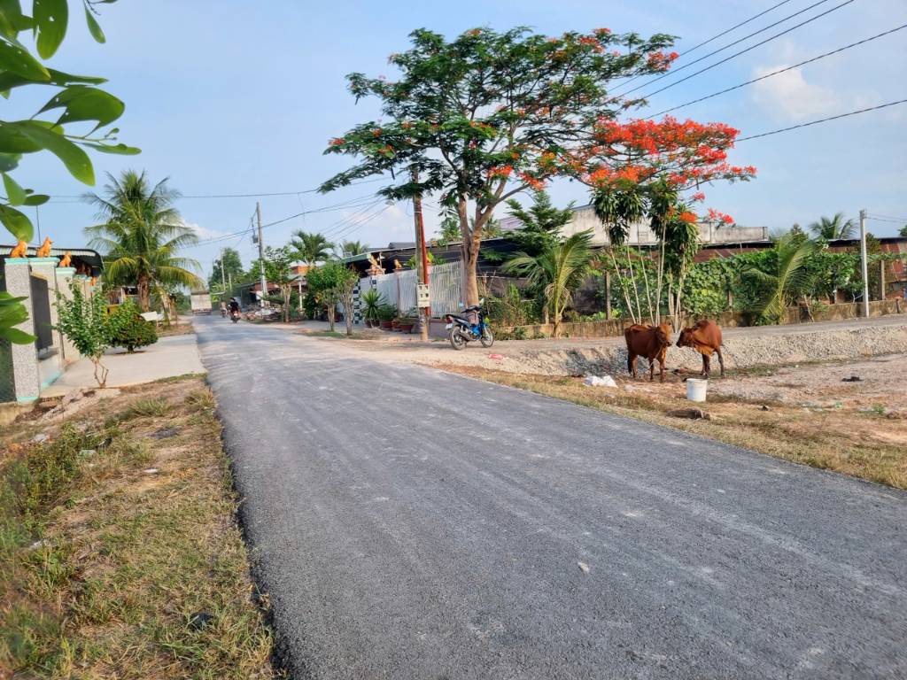 Bán đất Truông Mít Tây Ninh, đường nhựa, Okvip có báo nhiều trang đông, 5x35m giá rẻ nhỉnh 400tr