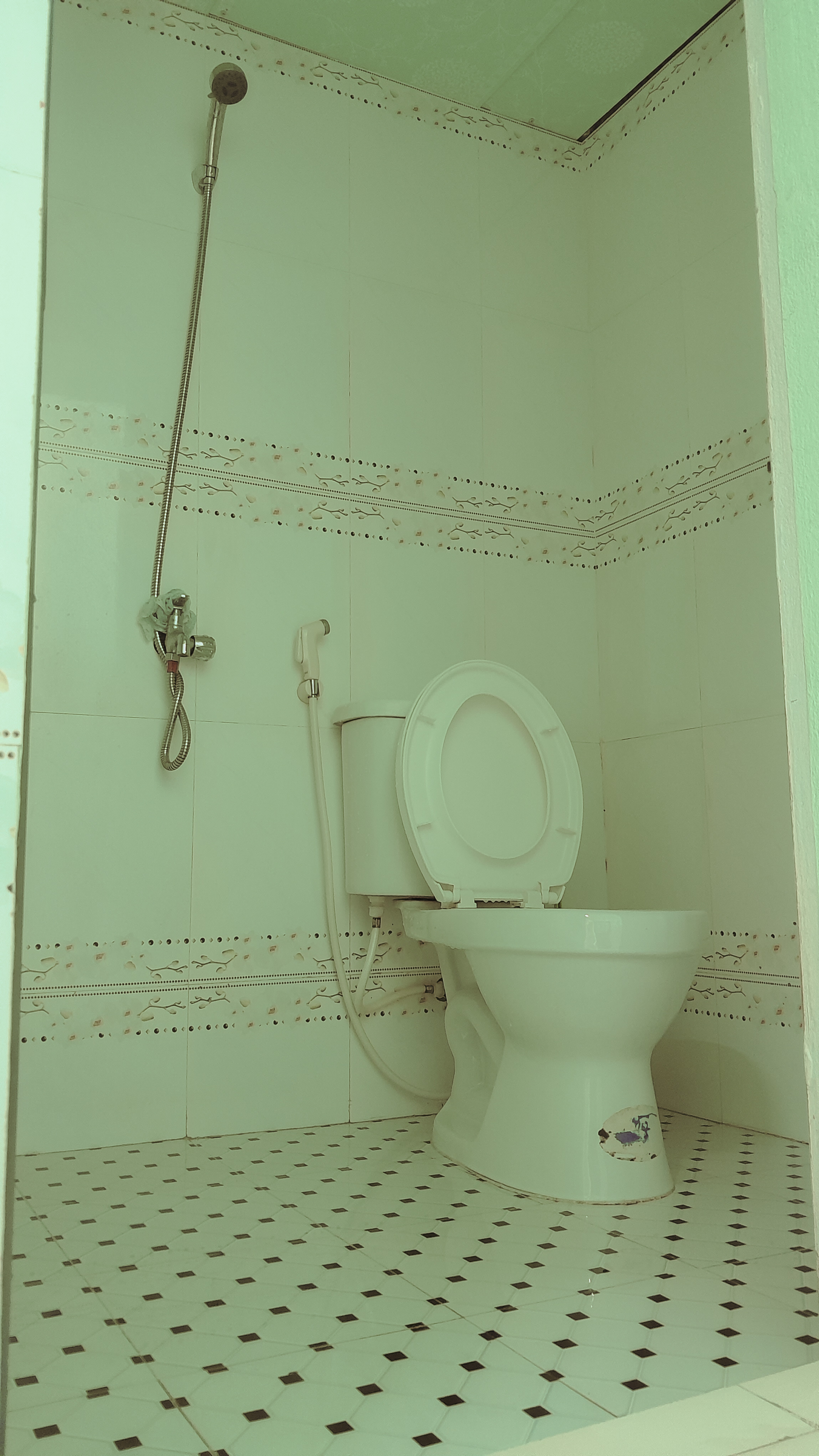 okevipp.com
