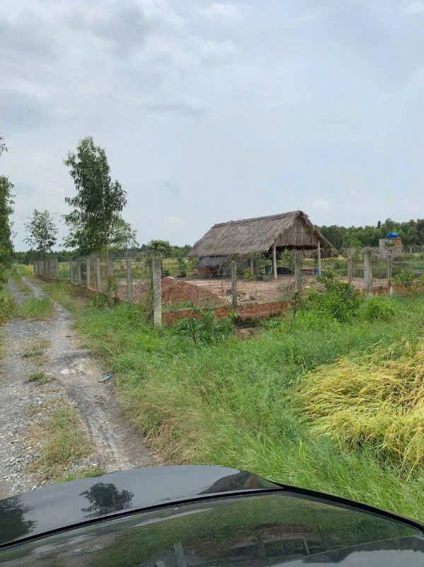 okevipp.com