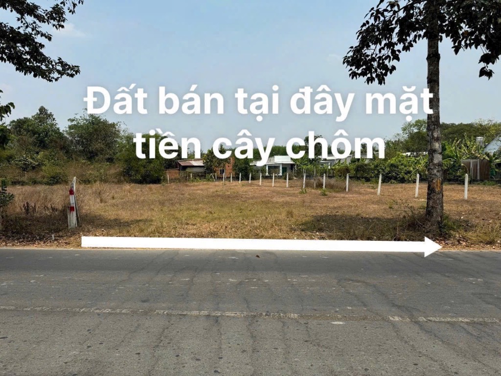 Bán đất 206m2 Cây Trôm, Củ Chi – Đầy đủ giấy tờ pháp lý và giá tốt cho nhà đầu tư