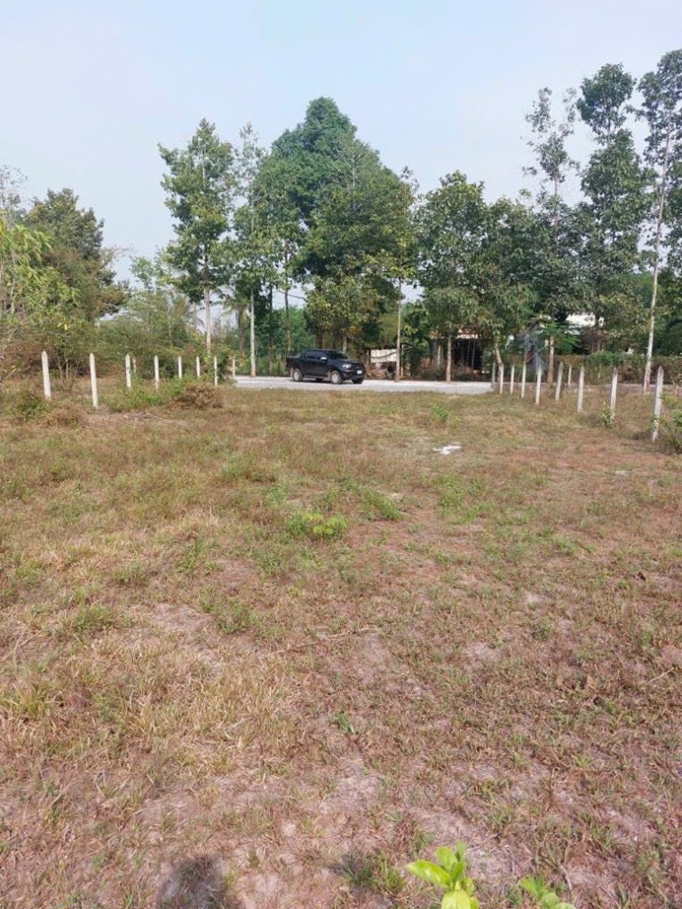 okevipp.com