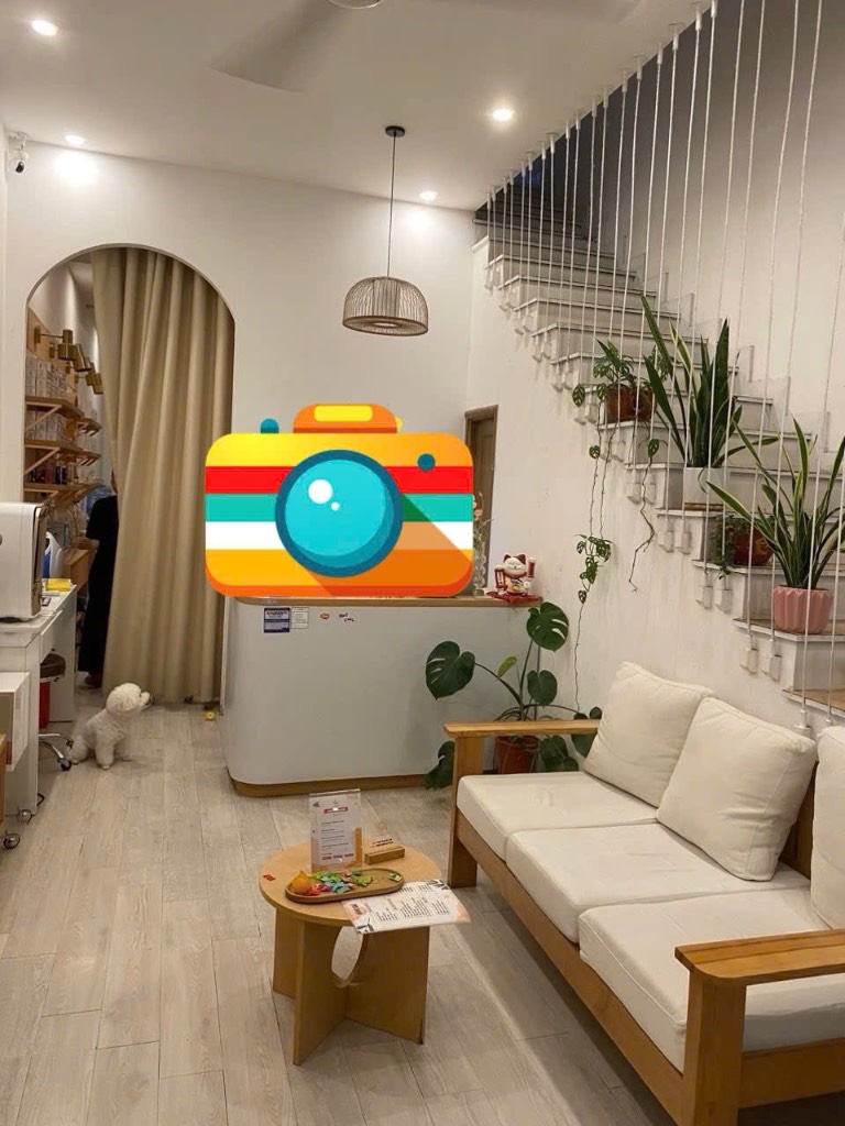 okevipp.com