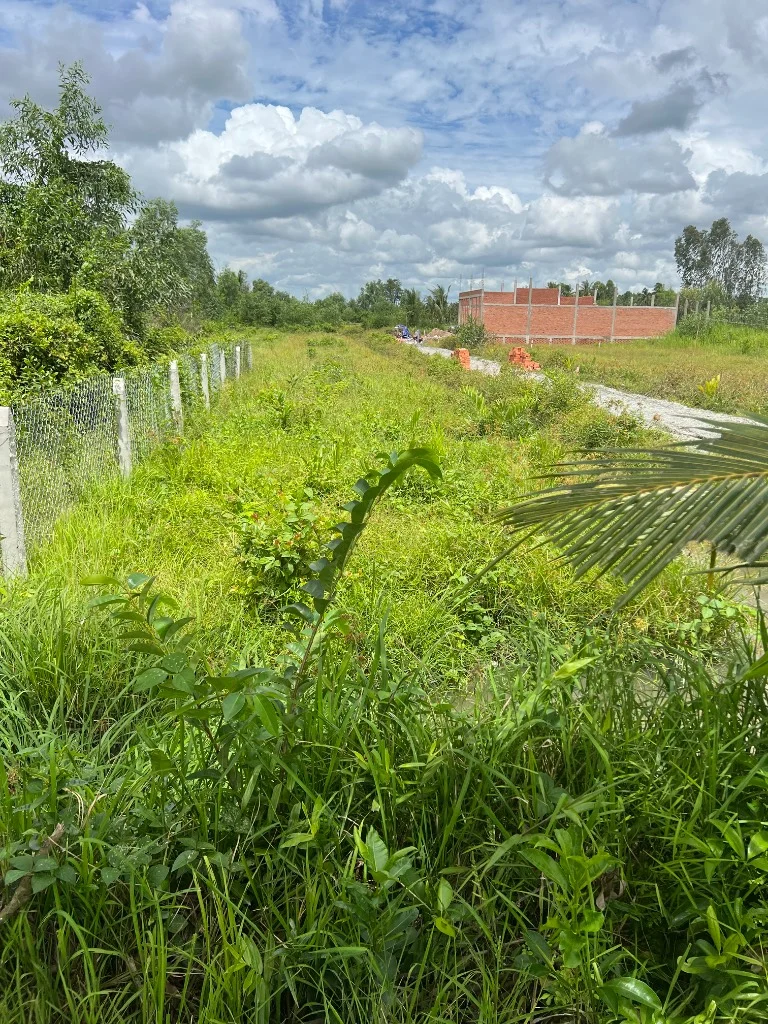 okevipp.com