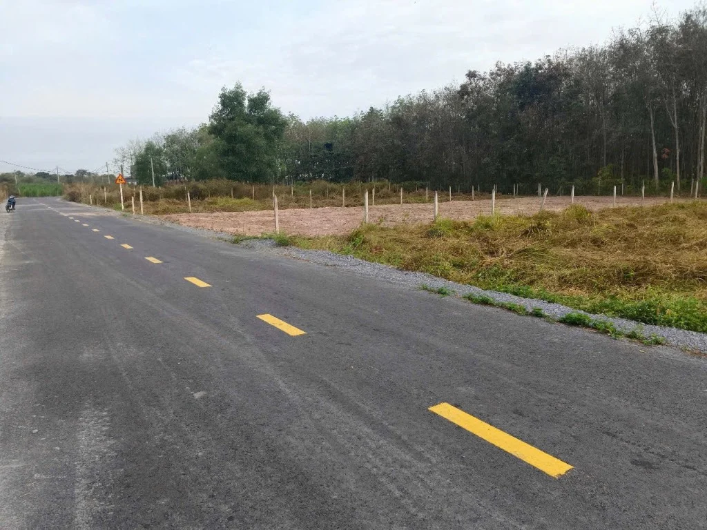 Bán Đất 1000m2 Tính Lộ 7, Củ Chi, Tiện Ích Đồng Bộ