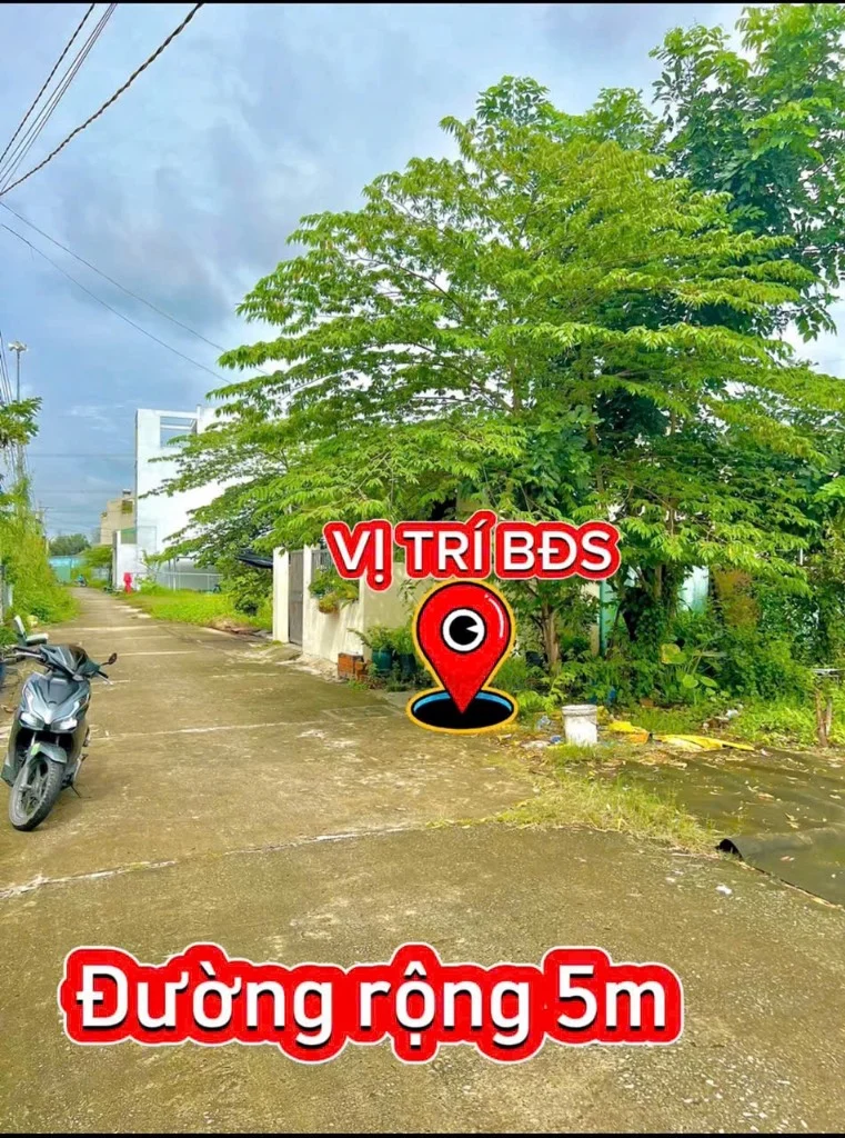 okevipp.com