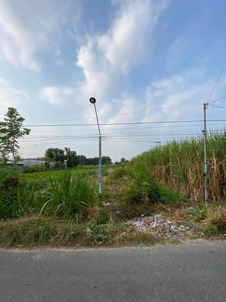 Bán đất Phường Gia Lộc, Trảng Bàng, Tây Ninh, 588m2, giá chỉ 2,85 tỷ