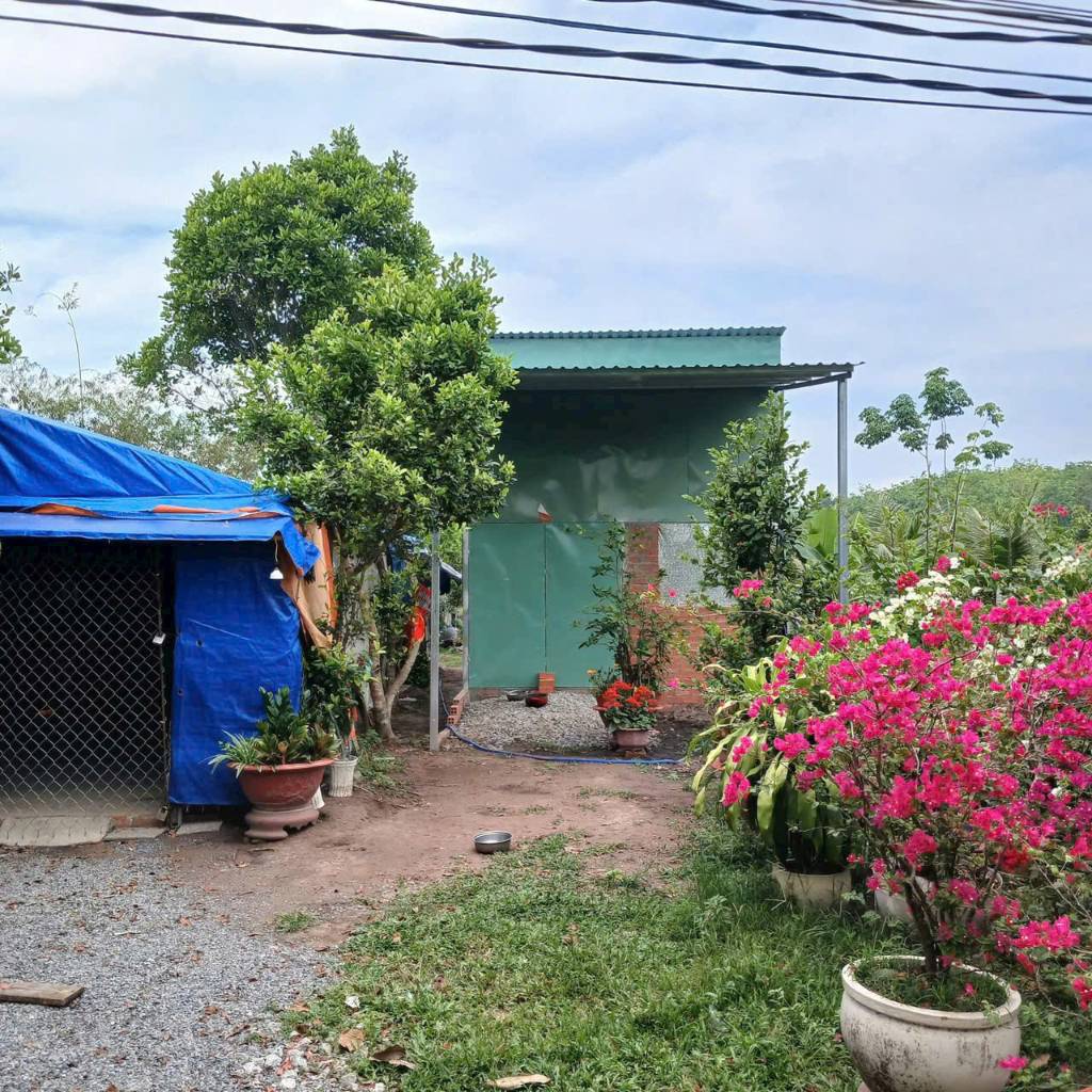Bán đất Phường Lộc Hưng, Thị xã Trảng Bàng, Tây Ninh, 500m2, Sổ đỏ hợp pháp