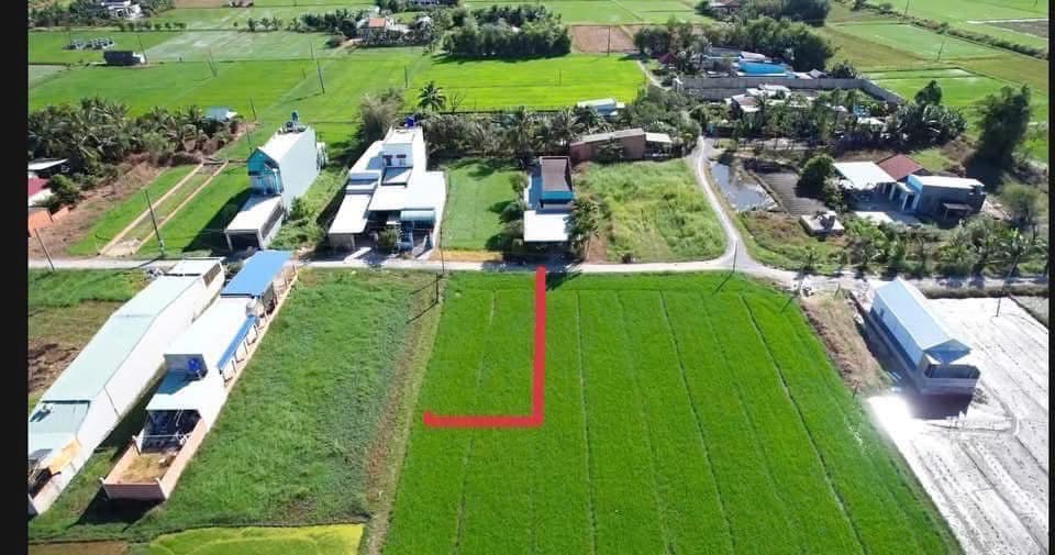 Bán đất Hoatdongokvip ưu đãi hấp dẫn Hoà Khánh Đông, Long An, 400m2, ngang 10m, đường 4m, giá 2,1 tỷ