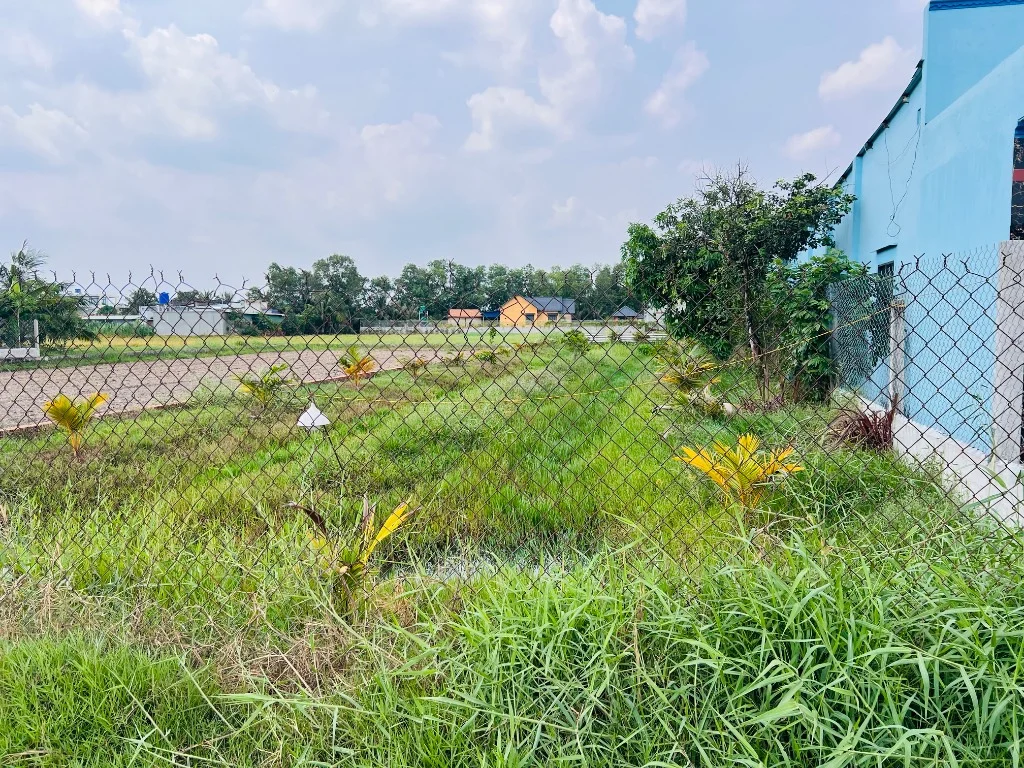 Bán đất lúa Hòa Khánh Đông, Đức Hòa, 533m2, được chuyển Hoatdongokvip ưu đãi hấp dẫn, giá 1,3 tỷ