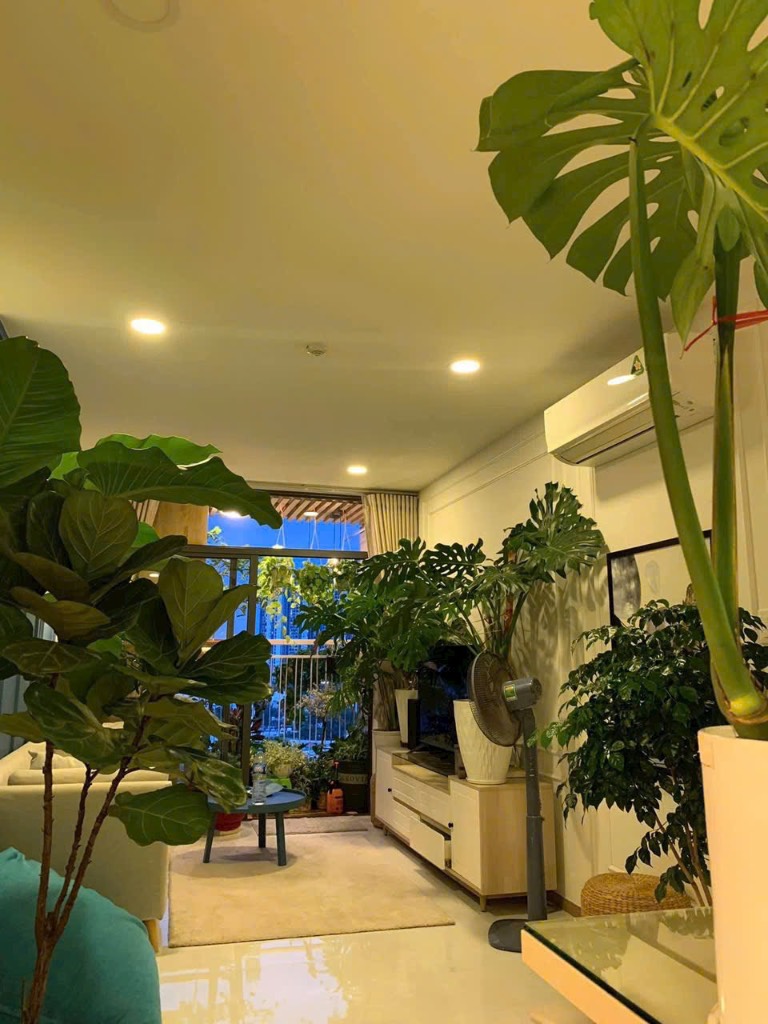 Tối thời điểm hiện tại trang chủ okvip có bao nhiều trang thành viên được hiện thị trên trang chủ căn hộ Riva Park, Quận 4, 1 phòng ngủ, nội thất đẹp, view 3 mặt sông