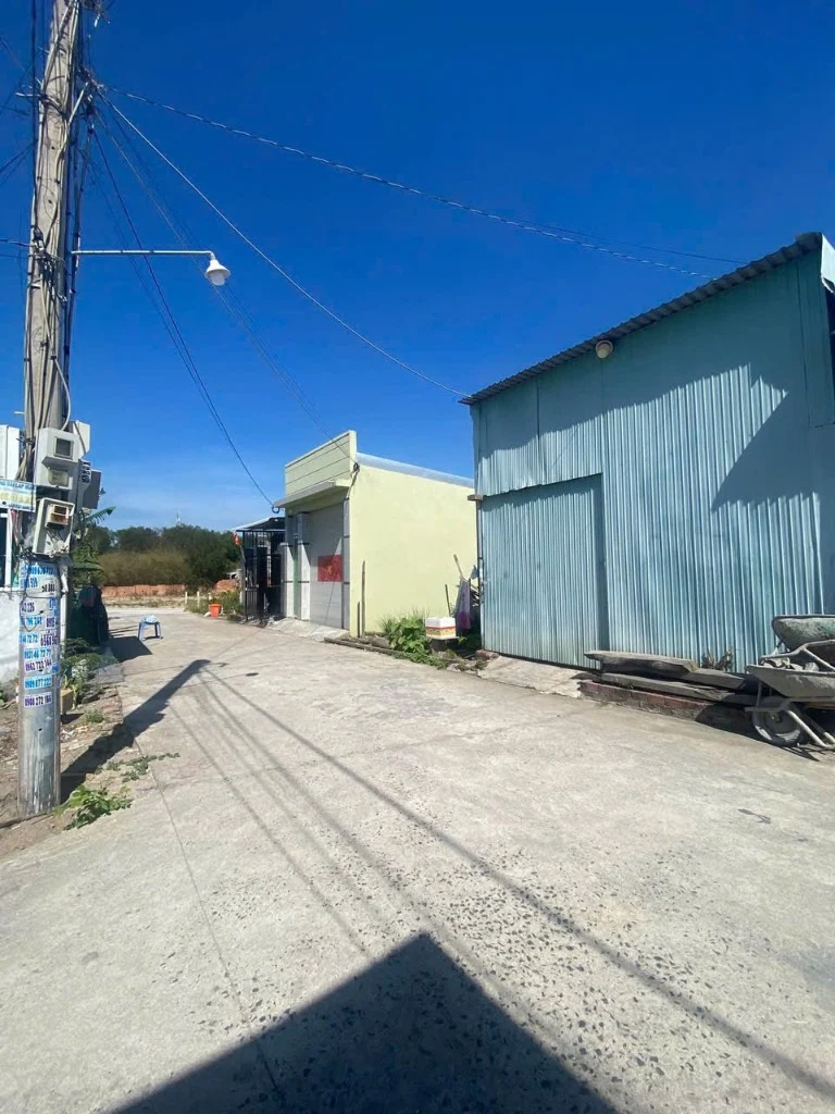 okevipp.com
