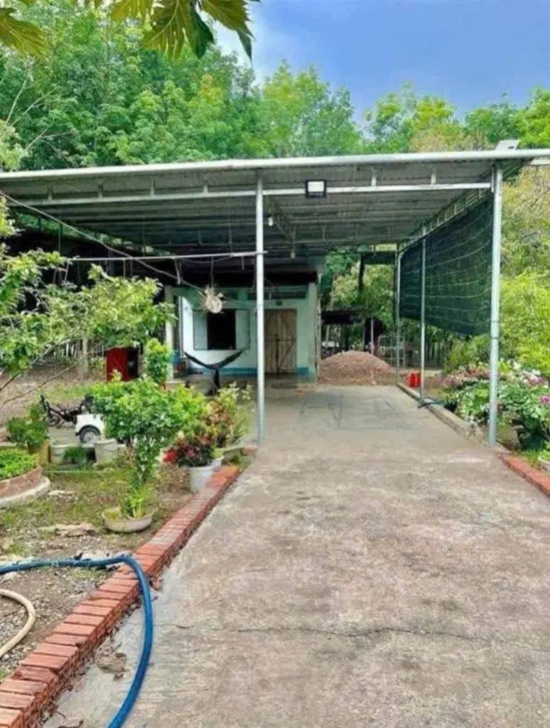 okevipp.com