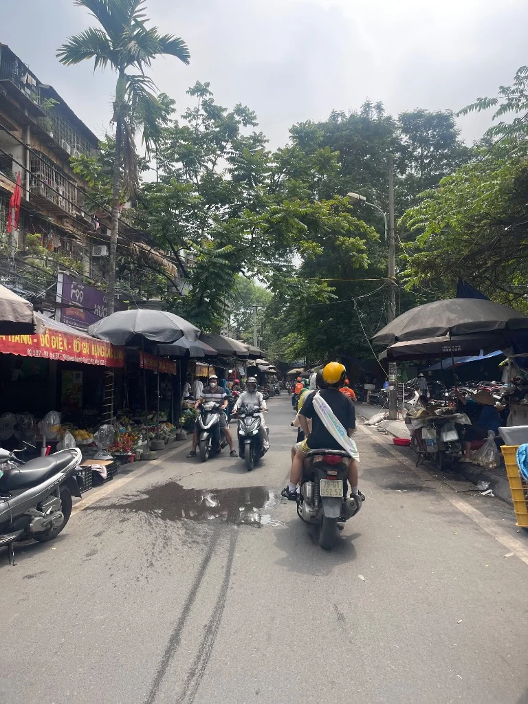 okevipp.com