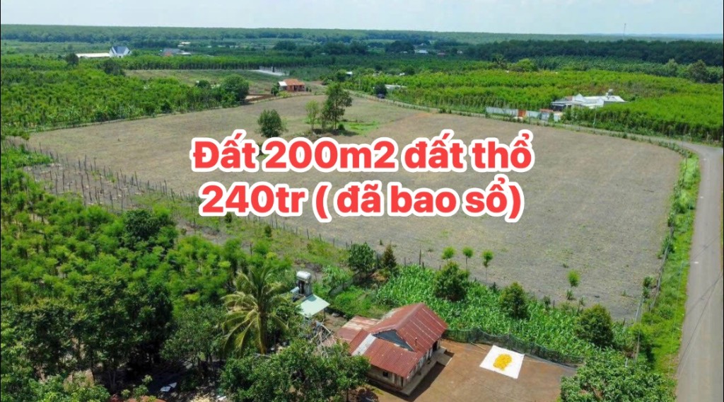 okevipp.com