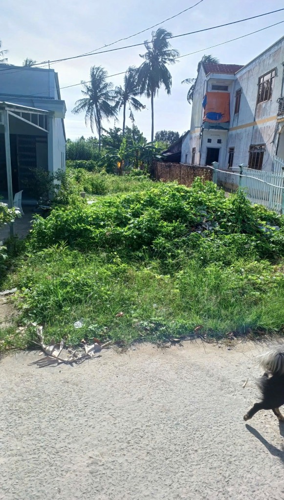 Bán đất nền đẹp, trung tâm Tp. Tân An, Long An, 105m², giá chỉ 950 triệu, sổ hồng riêng