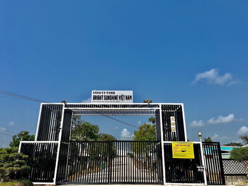 Bán đất lúa QL62, xã Tân Lập, 18 công, cạnh công ty Bright Sunshine