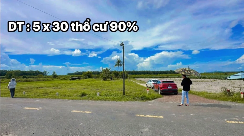 okevipp.com