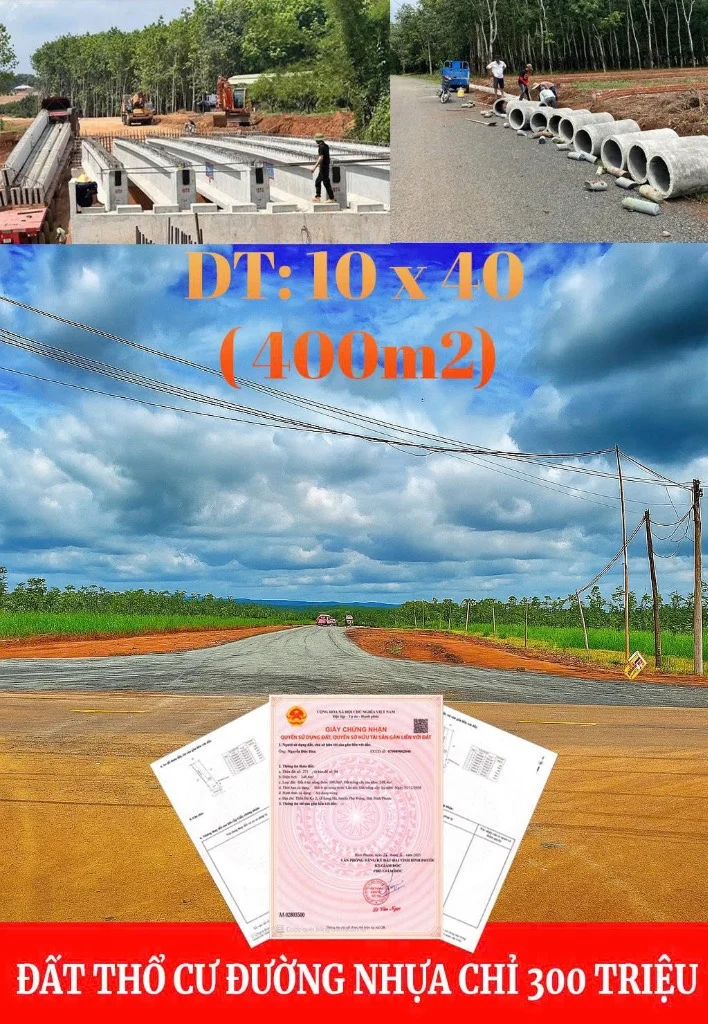 okevipp.com