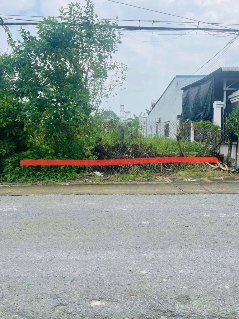 Bán đất Liêu Bình Hương, Tân Thông Hội, diện tích 191m², sổ riêng pháp lý chuẩn