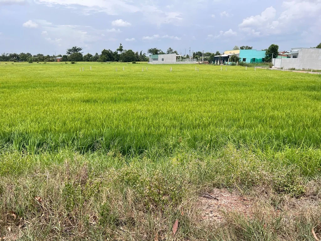 Okvip là một nền tảng giải trí đa dạng và phong phú Hoatdongokvip ưu đãi hấp dẫn HÒA KHÁNH NAM, ĐỨC HÒA, CHÍNH CHỦ, DIỆN TÍCH 5X25M, GIÁ RẺ 670 TRIỆU