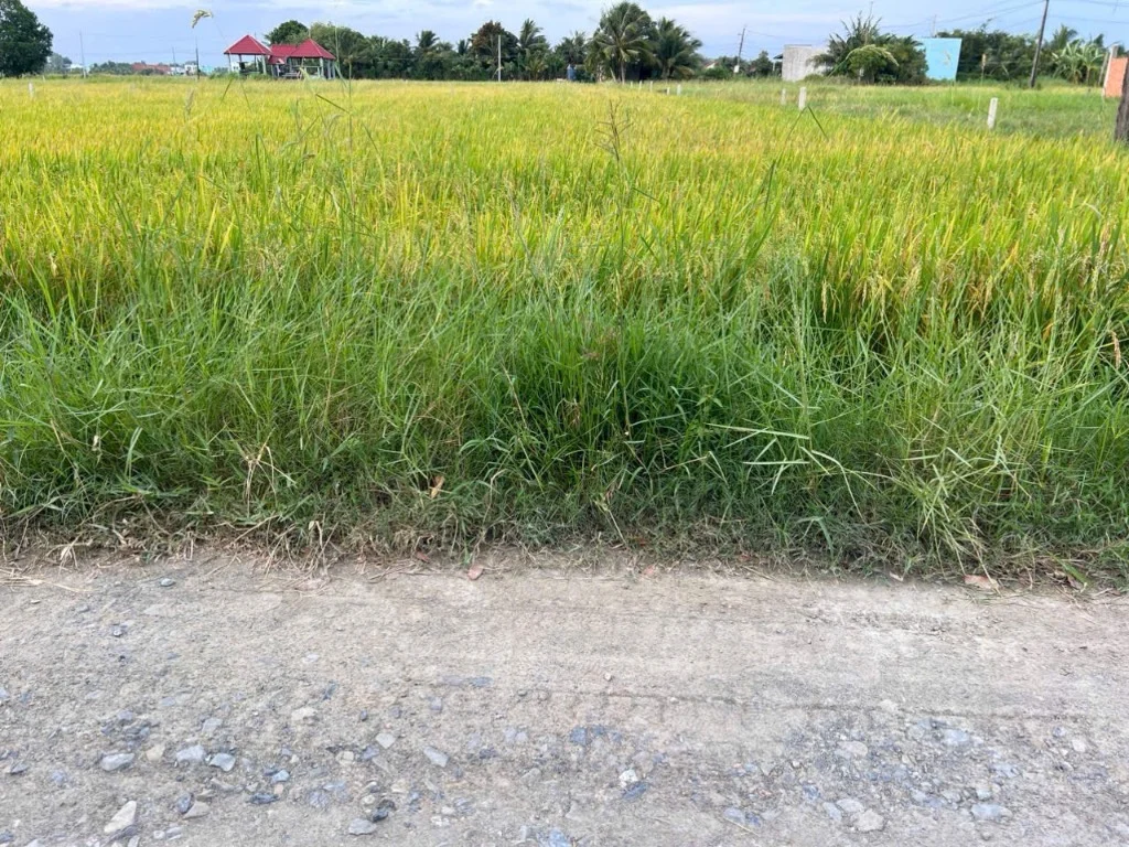 Okvip là một nền tảng giải trí đa dạng và phong phú Hoatdongokvip ưu đãi hấp dẫn BÌNH LỢI, HOÀ KHÁNH ĐÔNG, DIỆN TÍCH 5X40M, CHÍNH CHỦ, GIÁ 1,1 TỶ