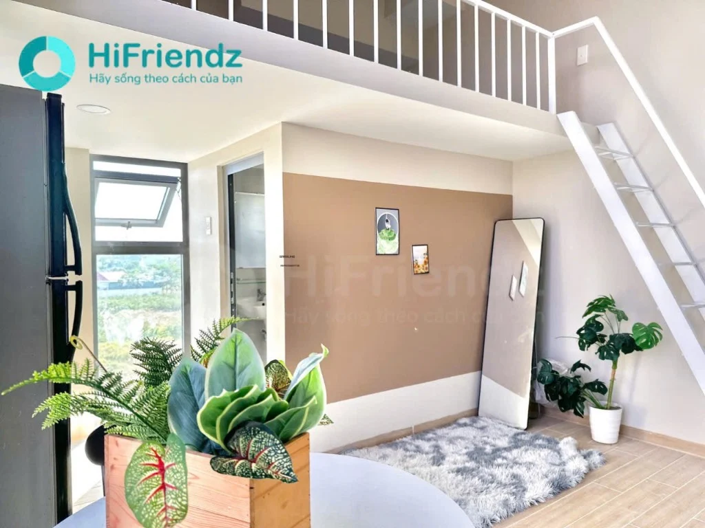 okevipp.com