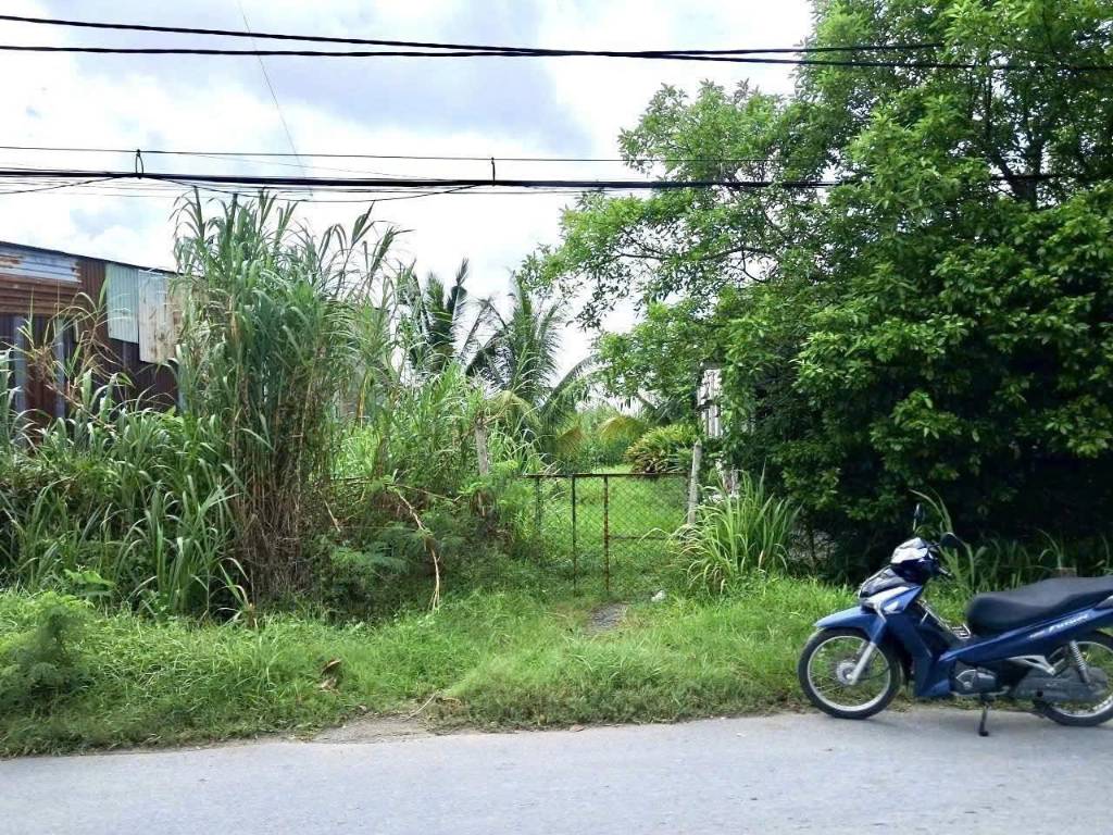 okevipp.com