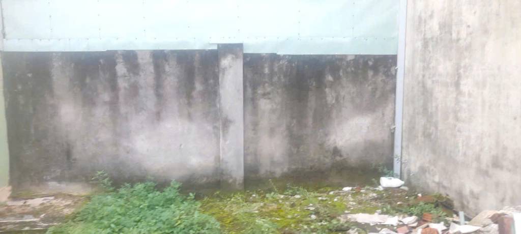 okevipp.com