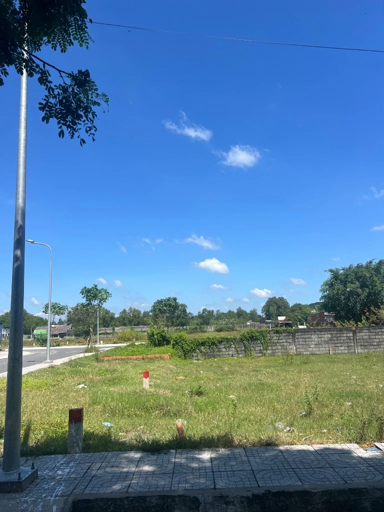 okevipp.com