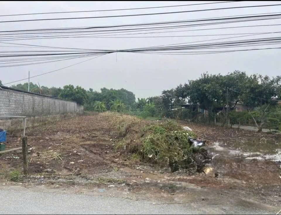 okevipp.com