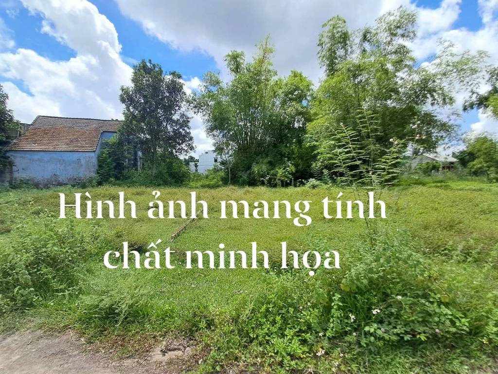okevipp.com
