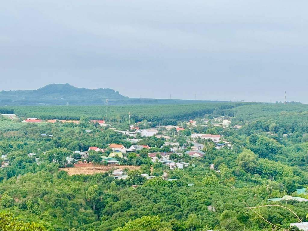 okevipp.com