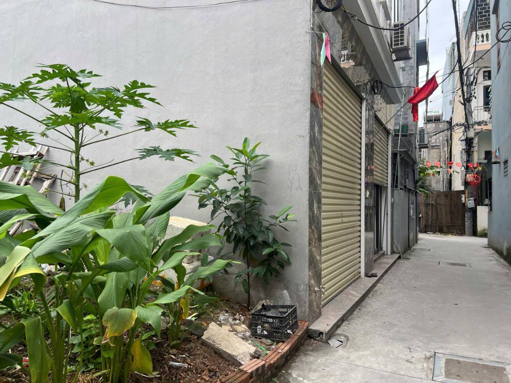 okevipp.com