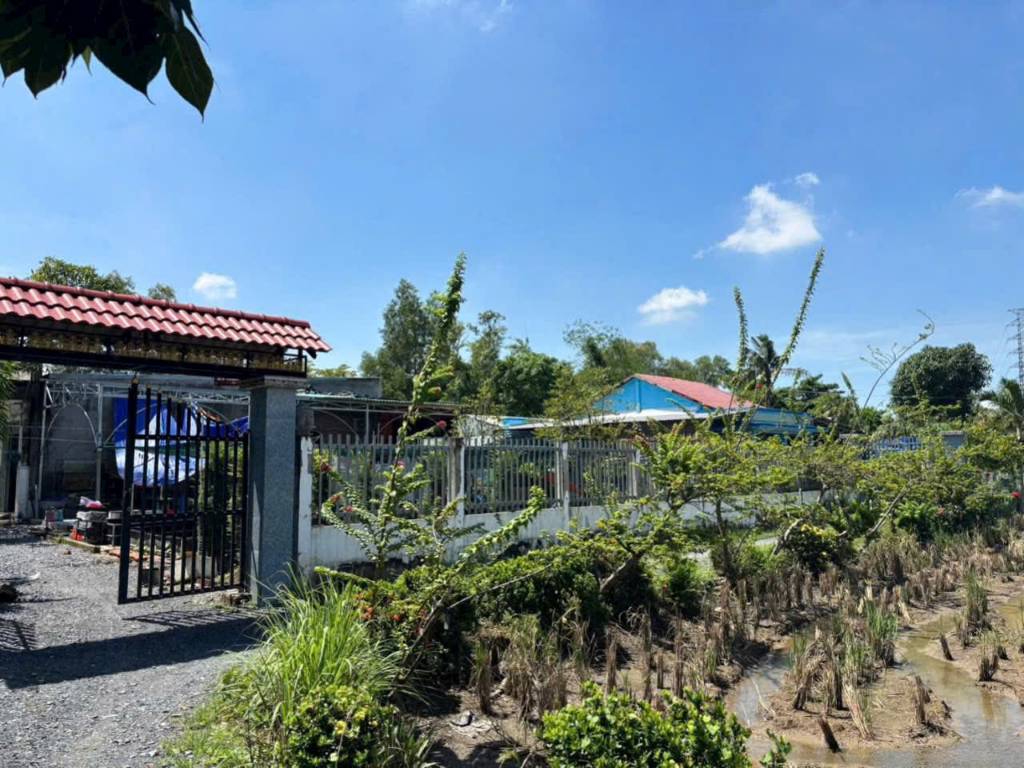 okevipp.com